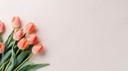 light coral peach color tulips flowers bouquet spring floral banner space for text copyspace #710537966