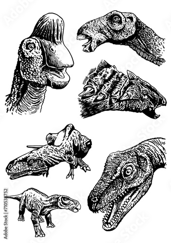 Graphical set  of dinosaurs on white background,vector illustration for tattoo, design and printing	