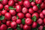 Freshly Harvested Red Radishes With Lush Green Leaves in a Farmers Market Display