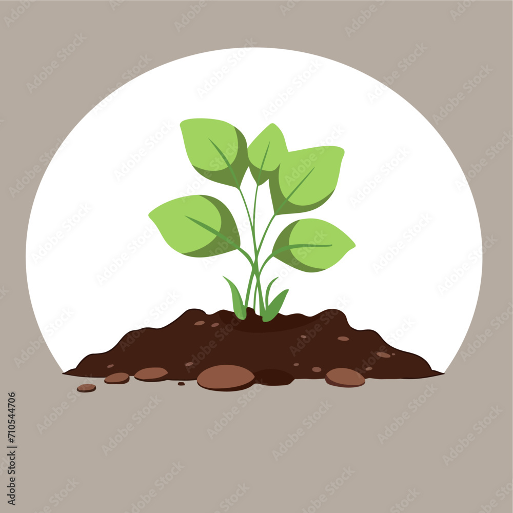 plant growing in the ground vector plant growing in the ground vector