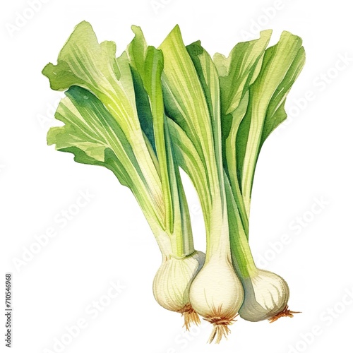  Leeks - Watercolor on White Paper Background