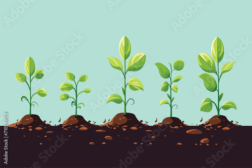 Growing plant. Sprout growth process. Seeds sprout in ground