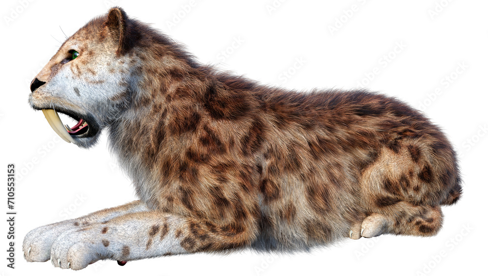 Obraz premium 3D Rendering Sabertooth Tiger on White