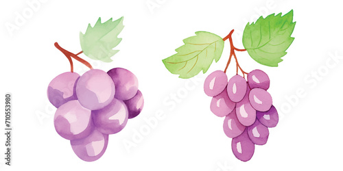 Fototapeta Naklejka Na Ścianę i Meble -  cute grape watercolor vector illustration