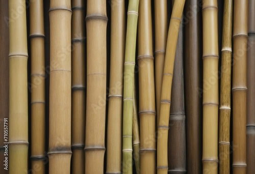 Bamboo stem wall
