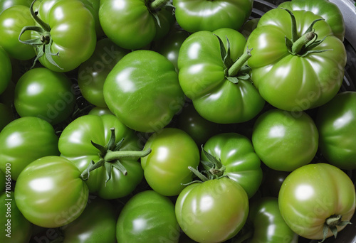 Homegrown green tomatoes from an organic garden for healthy eating