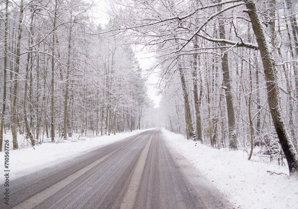 Snowy road in the forest.