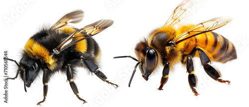 honey bee isolated on transparent background ,bumblebee png ,generative ai