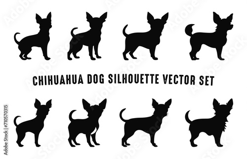 Set of Chihuahua Dog Silhouettes Black vector Collection  Silhouette of Dogs breed Bundle