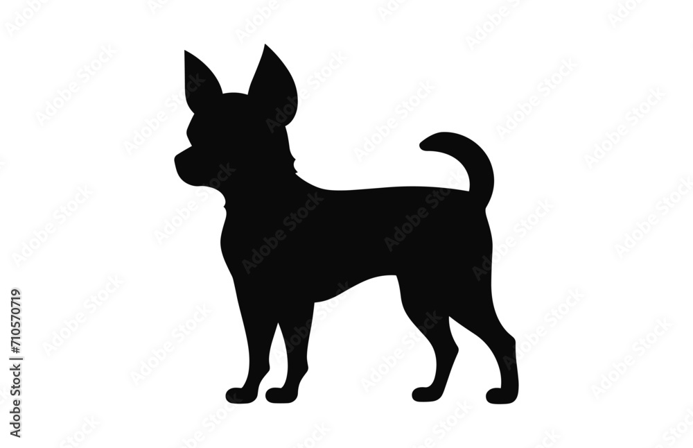 A Chihuahua Dog vector black Silhouette isolated on a white background