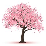 Cherry blossom spring tree icon on white background