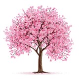 Cherry blossom spring tree icon on white background 