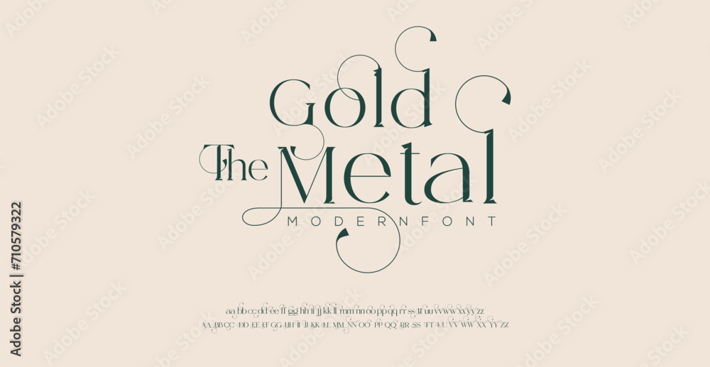 Elegant Font Uppercase Lowercase and Number. Classic Lettering Minimal Fashion Designs. Typography modern serif fonts regular decorative vintage concept. vector illustration.