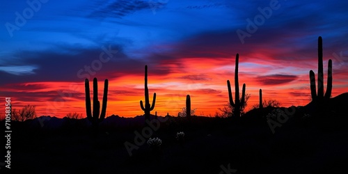 A dramatic desert sunset, the horizon set ablaze with fiery reds and oranges, contrasting against deep blue upper skies, a group of cacti in silhouette, evoking a sense of wild beauty and freedom,