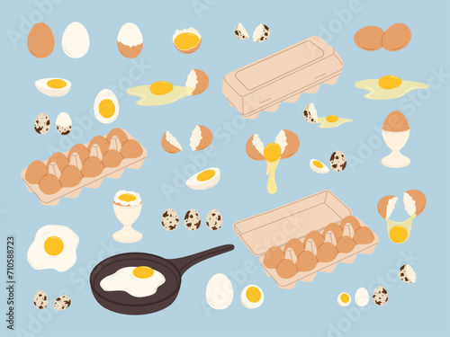 Chicken and quail eggs set. Raw, boiled and fried with broken and whole shell. Flat vector isolated illustration