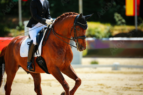 Horse, dressage horse, dressage with rider at a tournament in the test close-up from the front. © RD-Fotografie