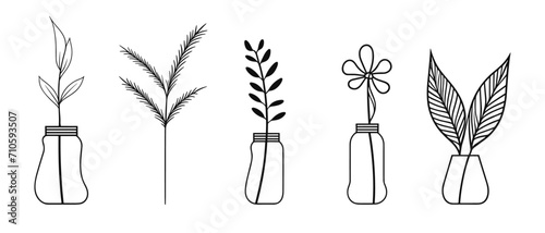 Hand drawn botanical flowers in vases. set of minimal decorative illustration flowers, leaves and plants