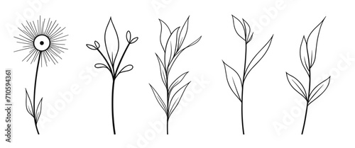 Editable Black and White Leaf Branch with flower Spring Illustration, Line Art: Trendy Greenery Outline, Hand Drawn Sketches
