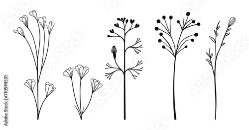 Spring Floral and Leaf Line Art  Elegant Botanical Flowers Vector Set. Sketch Elements  and Botanical Art Illustrations