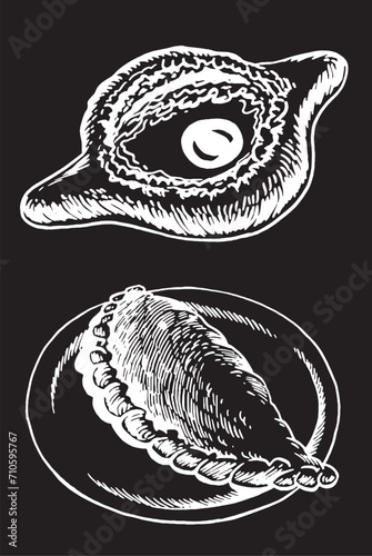 Vector khachapuri and Italian calzone on a plate isolated on black, food illustration