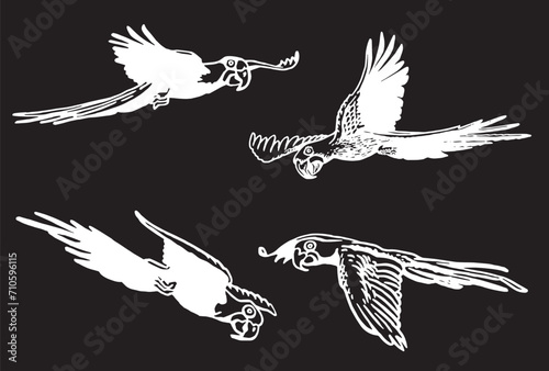 Graphical set of birds isolated on black , vector parrots flying	
