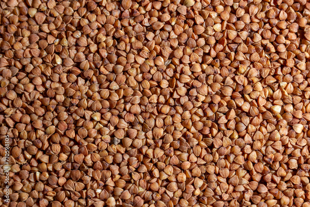 Dry Uncooked Brown Buckwheat Groats Background - Top View, Flat Lay. Raw Large Buckwheat Grains. Russian, Ukrainian and Belarusian Culture Dry Uncooked Brown Buckwheat Groats Background - Top View, Flat Lay. Raw Large Buckwheat Grains. Russian, Ukrainian and Belarusian Culture