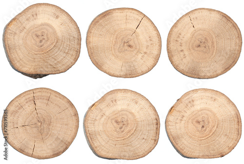 Wood slice cross section set isolated on transparent background