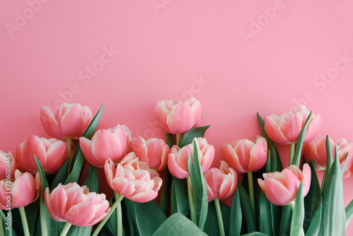 Bouquet of pink tulips on pink background. Anniversary celebration concept. Copy space. Top view