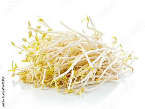 Bean sprout isolated on white background. Minimalist style.