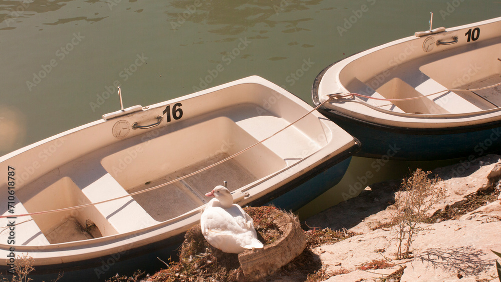 Barcas de paseo en orilla de río