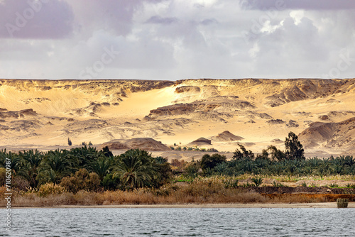 Bawiti oasis