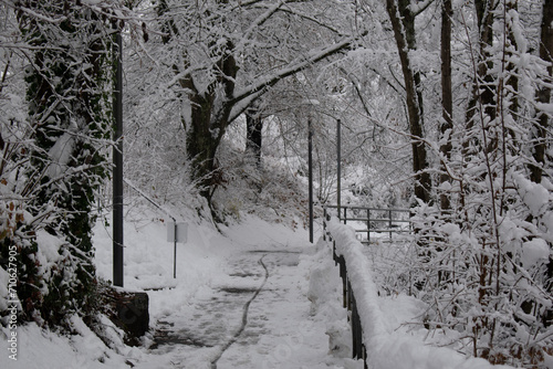 Snowy road through the forest