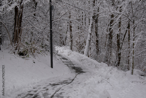 Snowy road through the forest