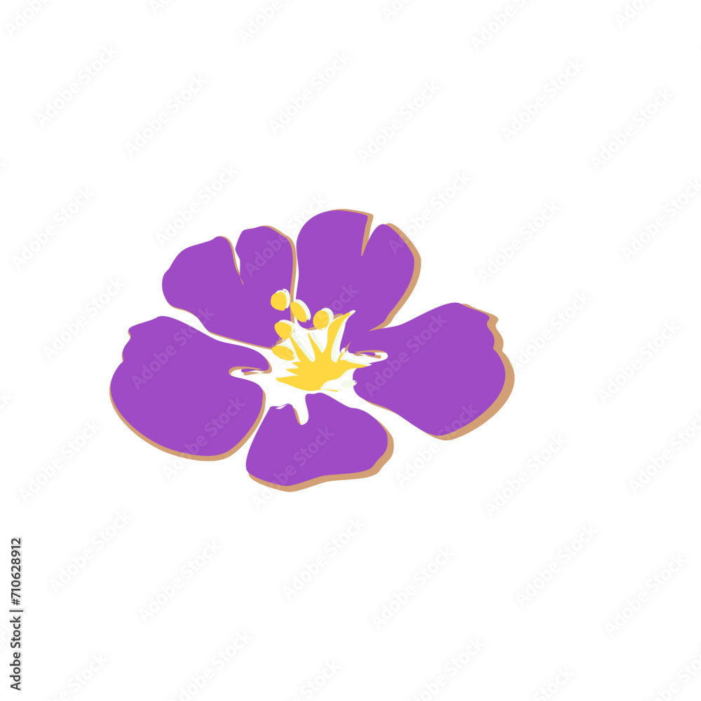 Obraz premium white and purple flower. Vector illustration. Isolates. Purple flowers, yellow stamens.. white and purple flower. Vector illustration. Isolates. Purple flowers, yellow stamens. On white background.