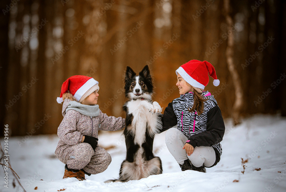 Obraz na płótnie Dzieci przytulają psa border collie, który wykonuję sztuczkę w zimowym lesie w salonie