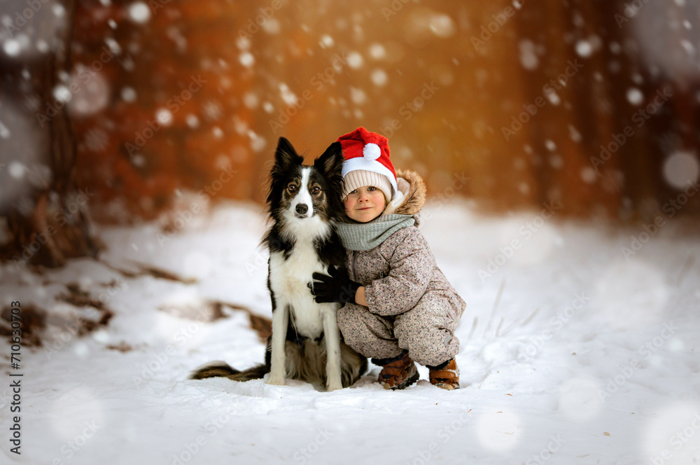 Mała dziewczynka z czapką Mikołaja przytula psa rasy border collie