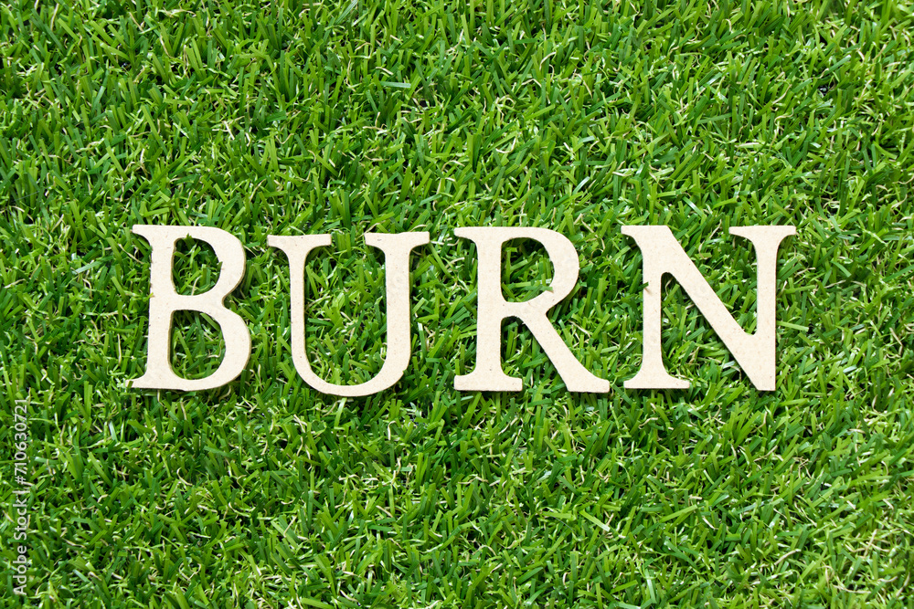 Wood letter in word burn on green grass background