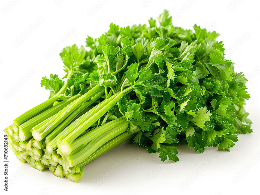 Fresh celery isolated on white background. Minimalist style. 
