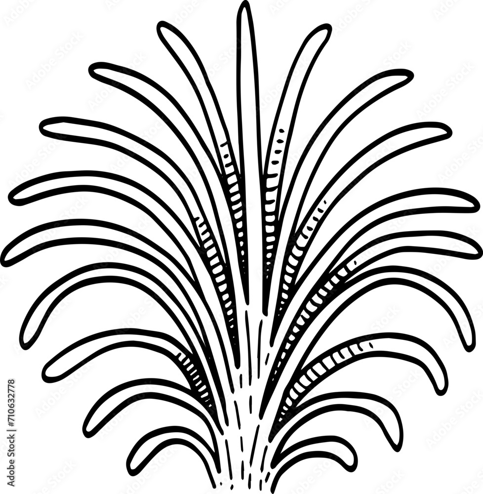 cute cartoon grass drawing cute cartoon grass drawing