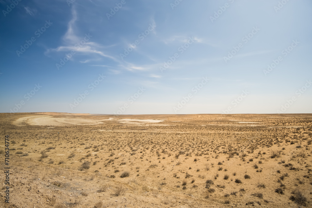 Naklejka premium Hot summer Kyzylkum desert in Uzbekistan on a sunny day