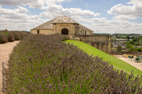 Castle in the city of Amboise France, beautiful architecture, old roofs, Loire river, green trees and colorful flowers.