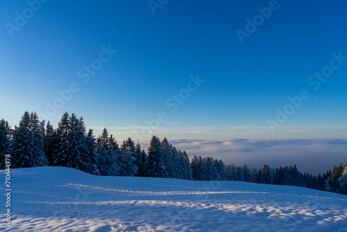 wide winter mountain landscape with snow covered trees above the fog clouds