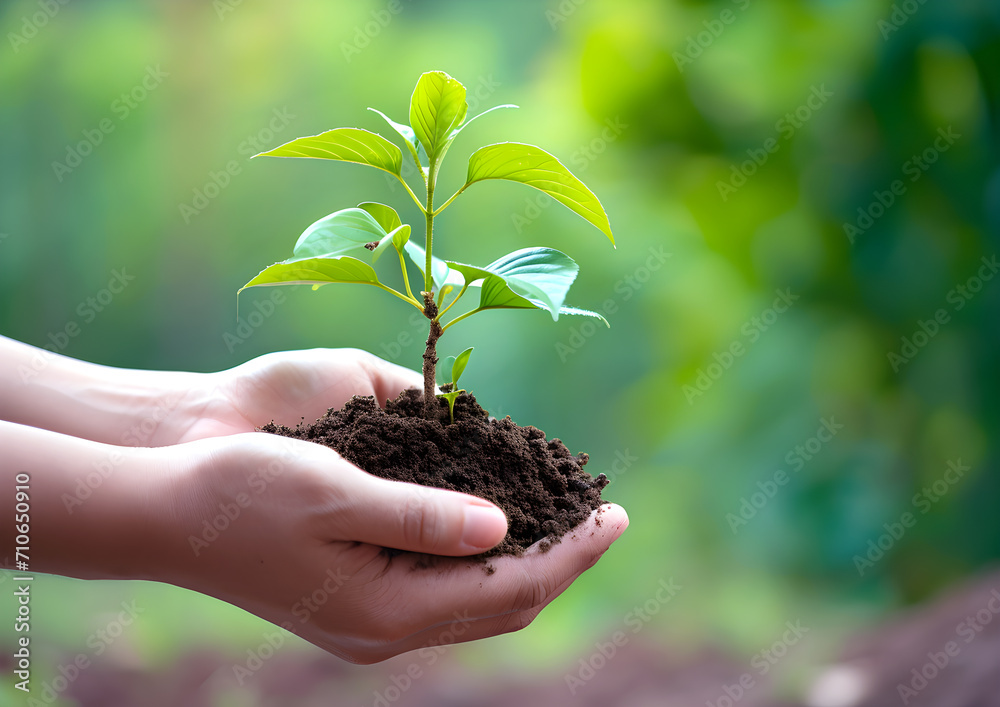 hand holding a small tree in the forest atmosphere Generative AI hand holding a small tree in the forest atmosphere Generative AI