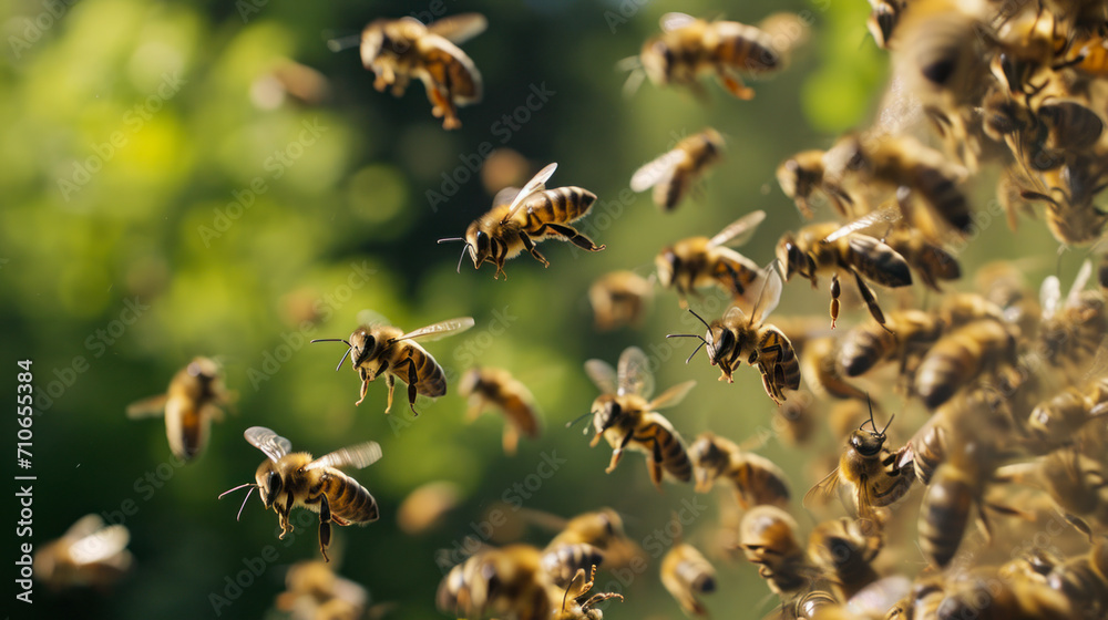 Insect Harmony: Bees Buzzing in the Sun Insect Harmony: Bees Buzzing in the Sun