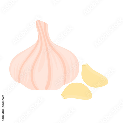 Vector illustration of whole and peeled garlic. Kitchen spices isolated on white background. Suitable for cooking seasoning logos.