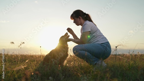 Owner trains pet, park. Woman strokes dog spaniel with hand, outdoors. Dog sitting next its owner. Concept human animal friendship. Owner stroking red dog sunset during hike. Dog get caress from owner photo