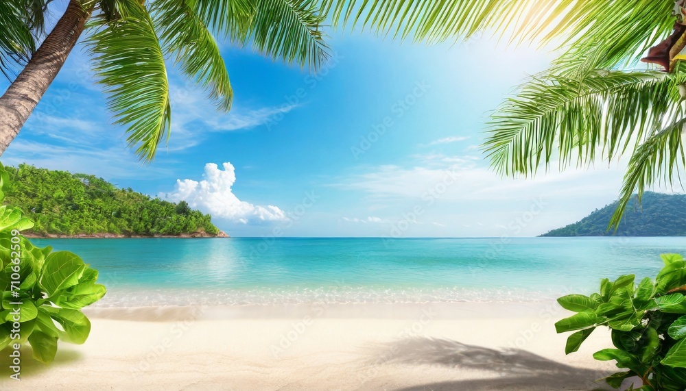 tropical island paradise beach green coconut palm tree leaf sand blue sea water turquoise ocean sun sky white cloud beautiful landscape summer holidays vacation travel banner empty copy space 