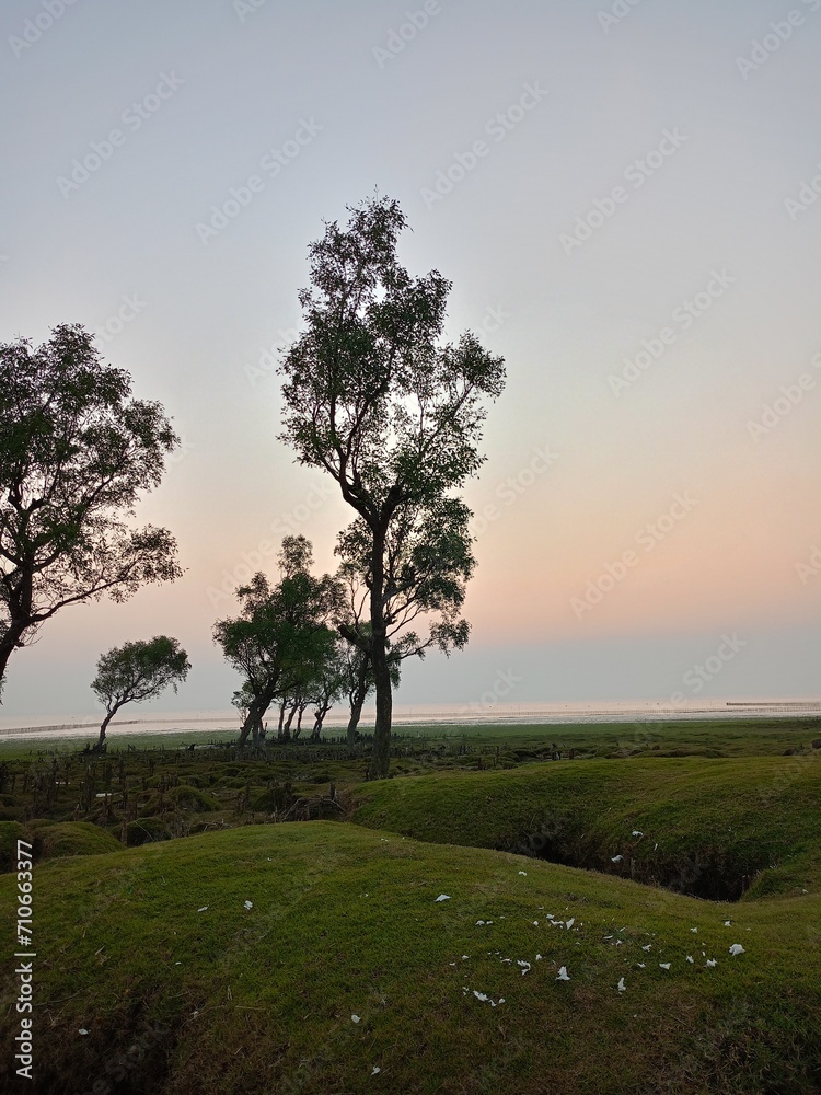 Sunset on the golf course with two trees and grassland. Sunset on the golf course with two trees and grassland.