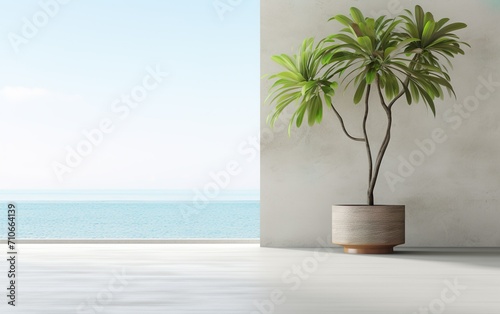 Indoor plant on white floor with empty concrete wall © Stormstudio