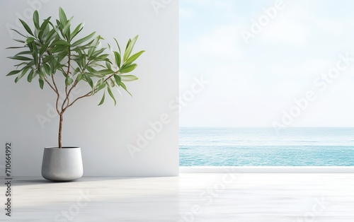 Indoor plant on white floor with empty concrete wall © Stormstudio